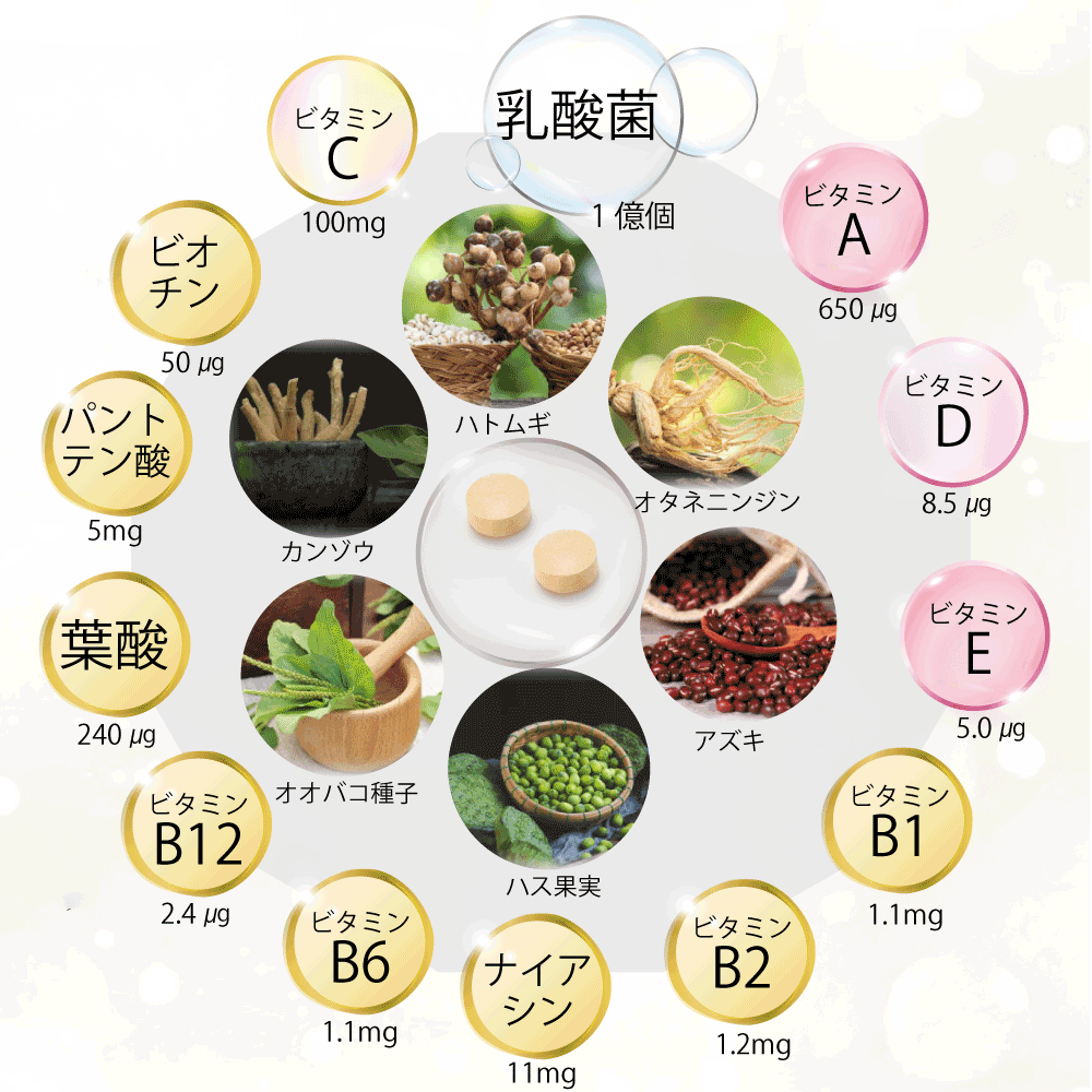 ギフトセットH