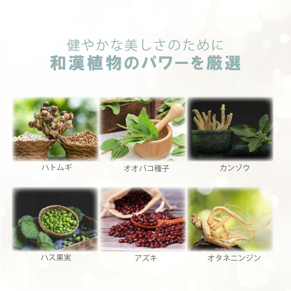 ギフトセットH